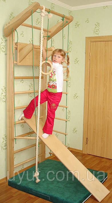 Спортивний комплекс "Ясен" 230 см, фото 1