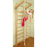 Спортивний комплекс "Ясен" 230 см, фото 3