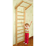 Спортивний комплекс "Ясен" 230 см, фото 4