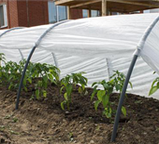 Теплиця, парник збірний — 4 м, фото 3