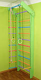 Спорткомплекс «Сосна» кольоровий 230 см, фото 3