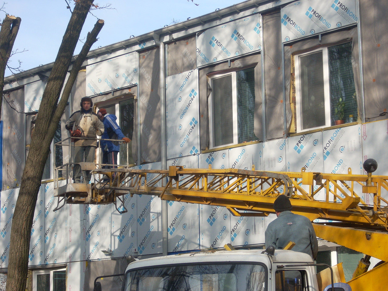 Видалення дерев. Спілювання дерев. Обрізання гілок. Корчування пнів.