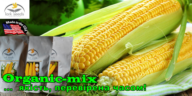 Купить Семена Сладкой Кукурузы В Беларуси