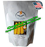 Насіння, кукурудза цукрова Добриня F1 (США), 2500 насінин, ТМ Lark Seeds, фото 2
