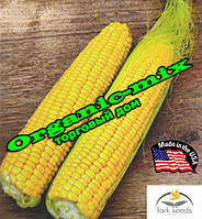 Насіння, кукурудза цукрова Хаммер F1/Hummer F1 (США), 2500 насіння, ТМ Lark Seeds