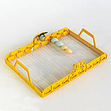 Інкубатор автоматичний Інверторний Теплуша Люкс 72 ІБ 12/50 ТАВ (тен, вологомір+ вихід на 12В), фото 5