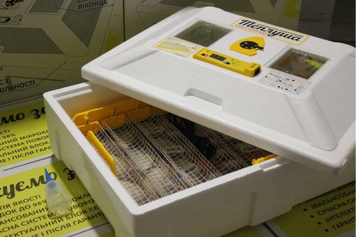 Купить Инкубатор автоматический Инверторный Теплуша Люкс 72 ИБ 220/50 ...