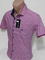 Рубашка мужская с коротким рукавом vk-0058 Paul Smith розовая приталенная в узор Турция