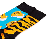 Шкарпетки Sammy Icon Benghali 40-46, фото 2