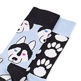 Шкарпетки Sammy Icon Balto 36-40, фото 7