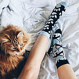 Шкарпетки Sammy Icon Balto 36-40, фото 5