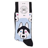 Шкарпетки Sammy Icon Balto 36-40, фото 2