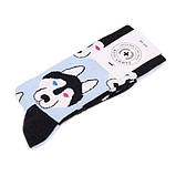 Шкарпетки Sammy Icon Balto 36-40, фото 3