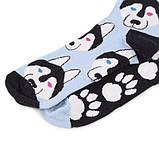 Шкарпетки Sammy Icon Balto 36-40, фото 8