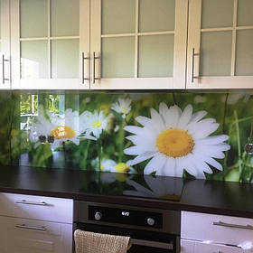 Стеклянный фартук - ромашки. Установка скинали в Каменском. 1