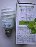 Лампа General Electric FLE 15HLX/T2/865/E27 спіраль, фото 9