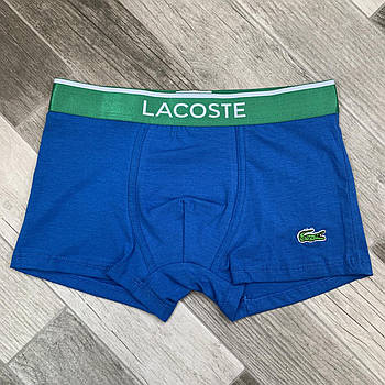 Труси чоловічі боксери бавовна Lacoste, розмір M (46-48), блакитні, 03690