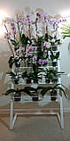 Підставка для балконних рослин і орхідей "Орхідея 1", фото 2