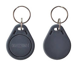 Брелок з чіпом EM-Marine перезаписуваний