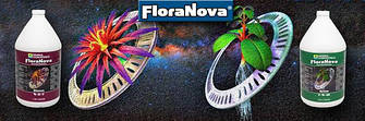 Flora Nova