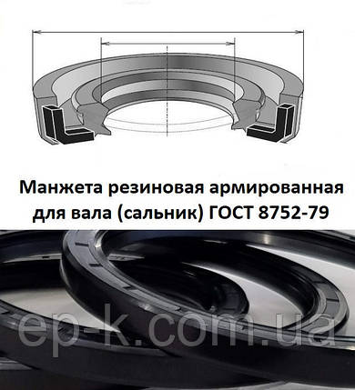 Манжета армована (сальник) 80х100х10 ГОСТ 8752-79, фото 1