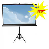 Экран для проектора 120"(240х180см) LOGAN PRT3