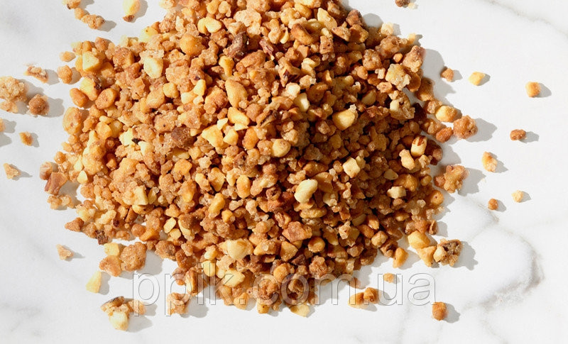 Карамелізований подрібнений фундук 50г Barry Callebaut