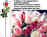 Квіти штучні троянди гладкий бутон 11 штук набір декор, фото 2