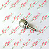 Щітка поршня очищення бігової доріжки на Famarol 8245-511-005-260 5511/005-01-004 5511/00526 8245511005260 551100501004 551100526, фото 8