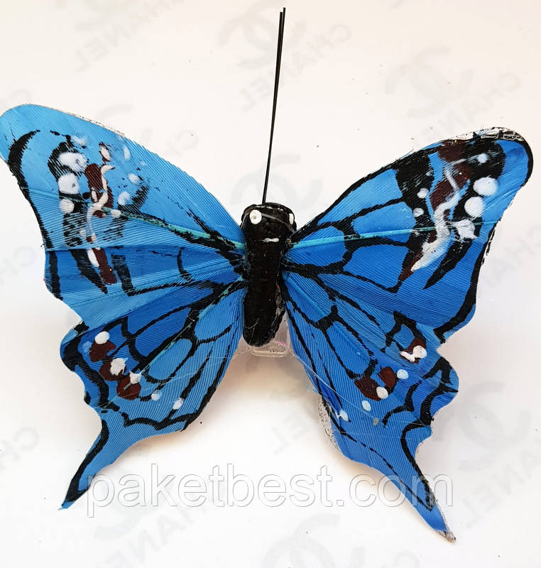 Бабочки декоративные из натуральных перьев 8см (без присыпки) - фото 3 - id-p950412108