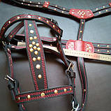 Упряжь на пони , мини лошадь.шлея,наритник оздоблення в золотому кольорі,вуздечка, фото 3