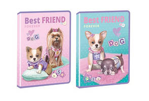 Папка для праці пластикова на блискавці А4 Kidis Best Friend з глітером