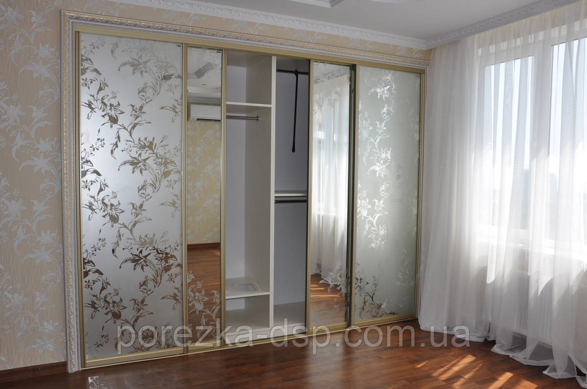 Двері розсувні для шафи-купе Дзеркало з піскоструйним малюнком