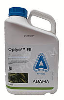 Фунгіцид Оріус ADAMA - 5 л, фото 3