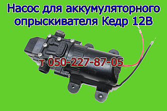 Насос для акумуляторного обприскувача Кедр (c подарунком)