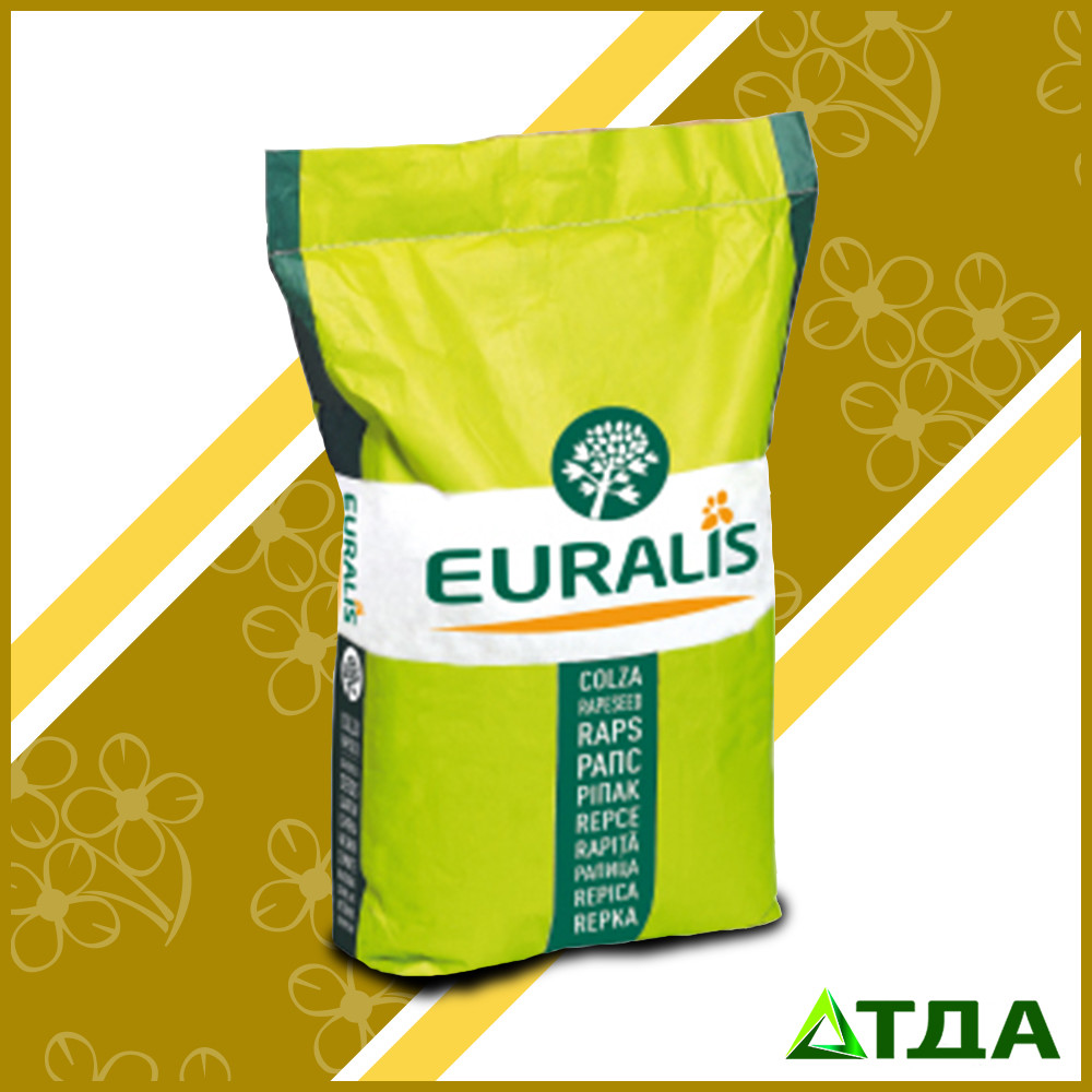 Насіння озимого ріпаку ЄС Ангел Cleafield, фото 1