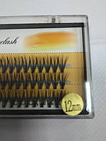 Пучкові вії Nesura Eyelash 20D 12мм