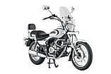 Bajaj Avenger CRUISE 220, фото 3