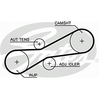 Ремень топливной аппаратуры 81x21 VW/AUDI 100 2,5TDI/SDI 95-- Gates 5494XS