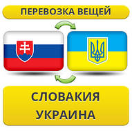Перевезення Вії з Словаччини в Україну!