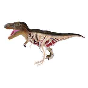 Об'ємна анатомічна модель Динозавр Тиранозавр, фото 2
