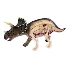 Об'ємна анатомічна модель Динозавр Трицератопс