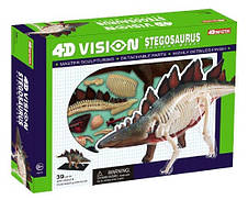 Об'ємна анатомічна модель Стегозавр, фото 2