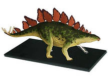 Об'ємна анатомічна модель Стегозавр, фото 2