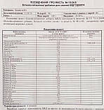 Добавка БМВД для свиней Dvorek 30-110 кг 15-10%, фото 3