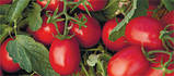 Насіння томату Астерікс F1, 25 тис. насінин, фото 2