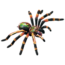 Об'ємна анатомічна модель Павук тарантул