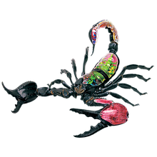 Об'ємна анатомічна модель Скорпіон