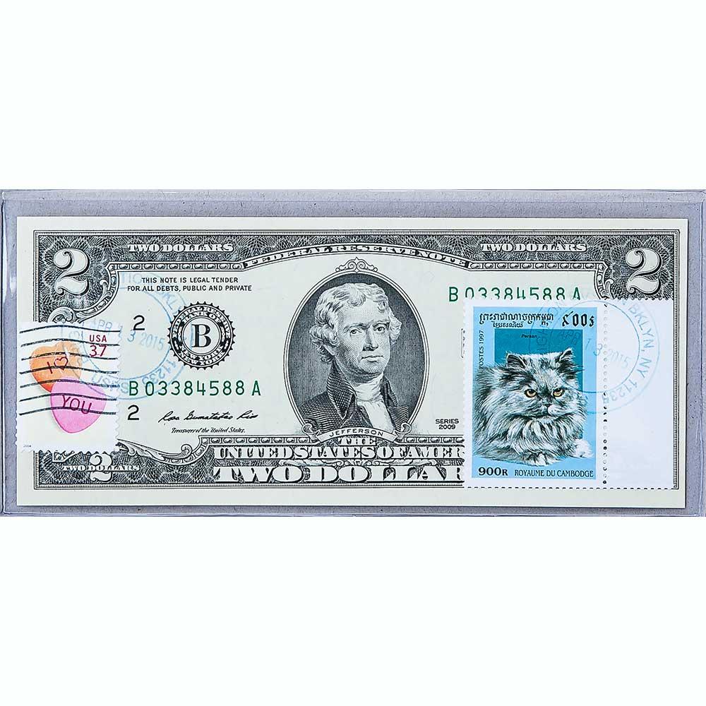 Банкнота США 2 долар 2009 з друком USPS, кіт перський, Gem UNC