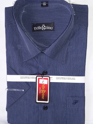 Сорочка чоловіча з коротким рукавом vk-0008 Pellegrinoчерная в смужку класична, фото 1